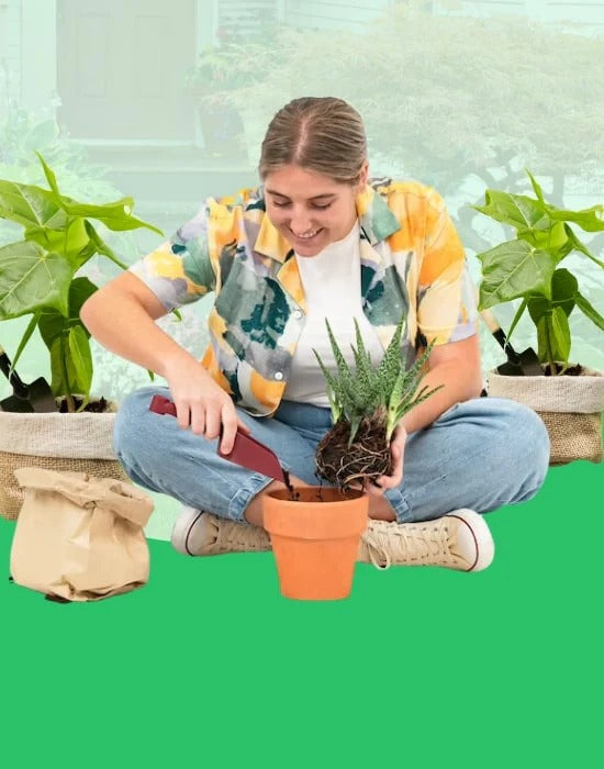 Pots & Planters